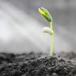 In Tough Times, Resilience can Weather the Storm